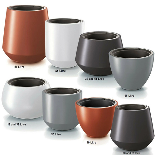 Plant flower pot large - flower,
