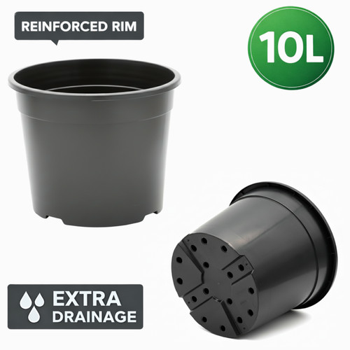 10l plastic plant pot black - 10l,