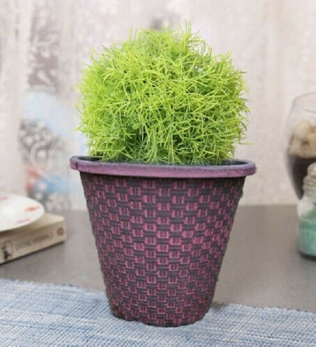 Large plant pots garden - x,