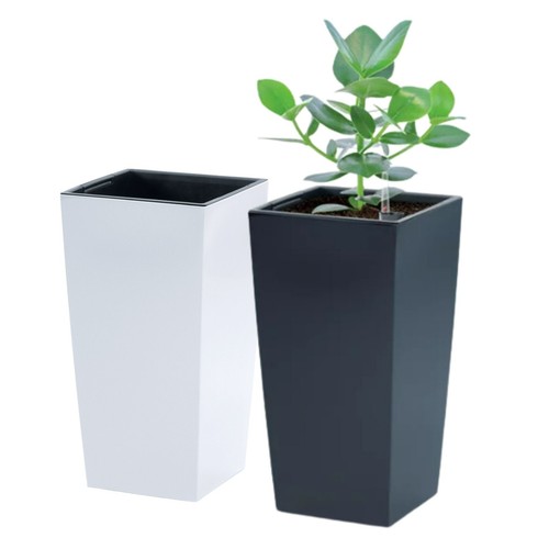 Tall planter plant - planter, pot