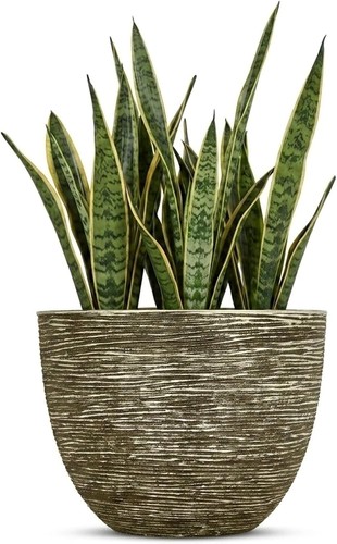 Premium garden stylish large - premium,