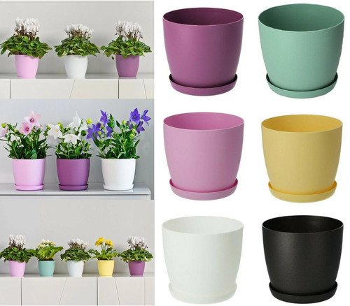 Plant pots flower - plant, planter