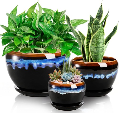 Pack ceramic flower pots - flower,
