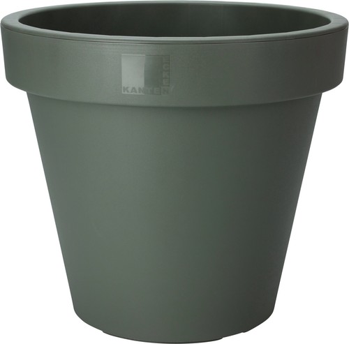 Green large plant pot - plant, round