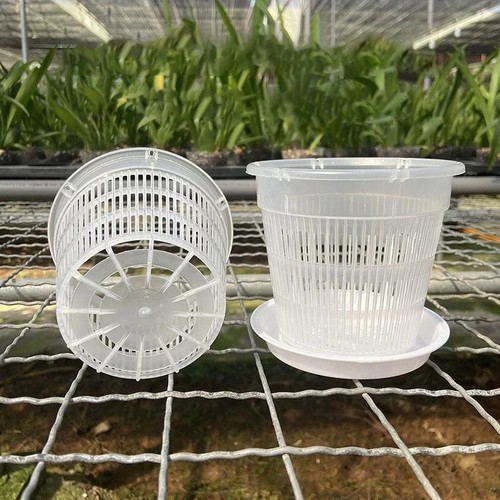1pcs clear plastic orchid - 1pcs,
