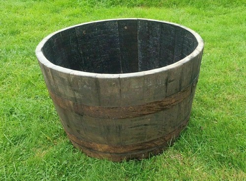 Freshly cut whisky - barrels,