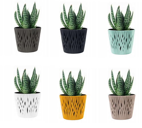 Indoor plant pots with - plant,