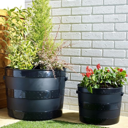Large barrel planter - large, plant