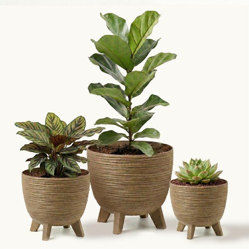 Brown plant pots with - brown,