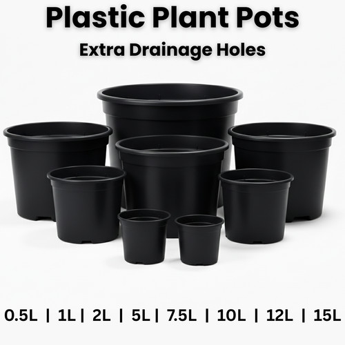 Black plastic plant - plastic,