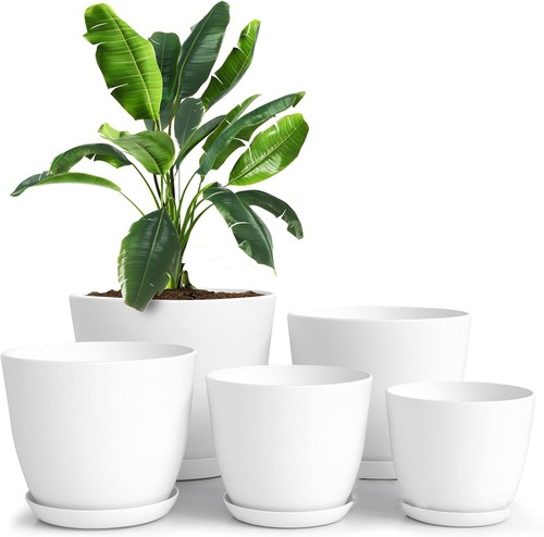 Set plastic plant pots - of,