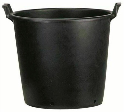 Litre extra large plant - litre,