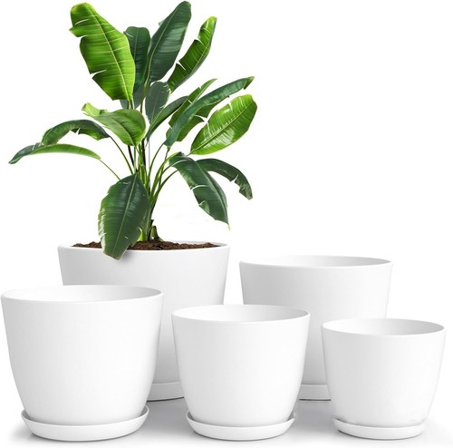 Set plastic plant - 5, pots