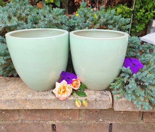 Large hardy outdoor green - large,