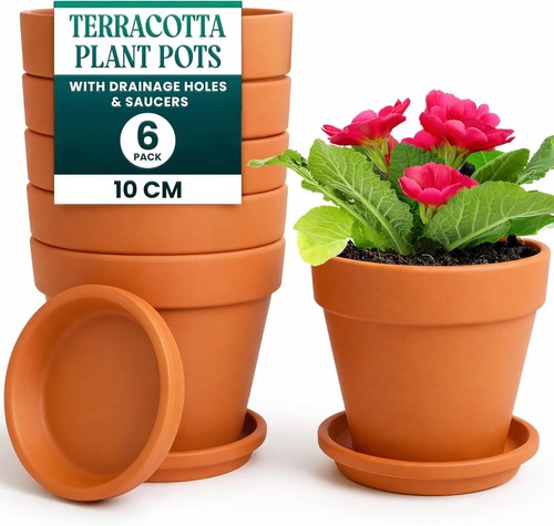 Pack terracotta plant - plant,