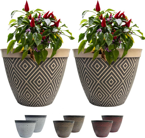 Starry sky large outdoor - outdoor, plant