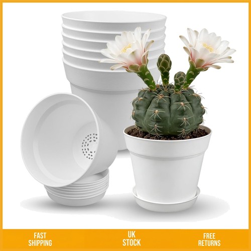 Elegant matte plastic flower - elegant,