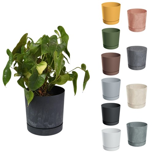 Plant pots indoor - plant,