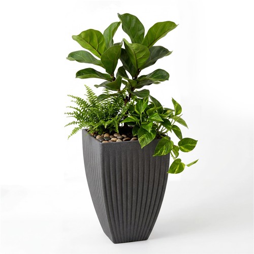 Large plant pot - pot, tall