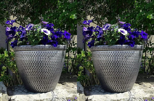 Cromarty large outdoor plant - outdoor,