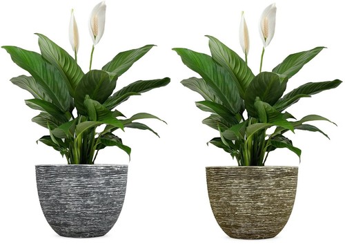 Large round plastic garden - large,