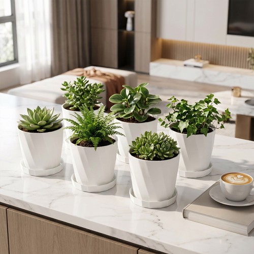 6pcs plant pots - plant, saucers