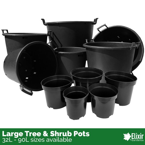 Large plant pot tree shrub - |, &