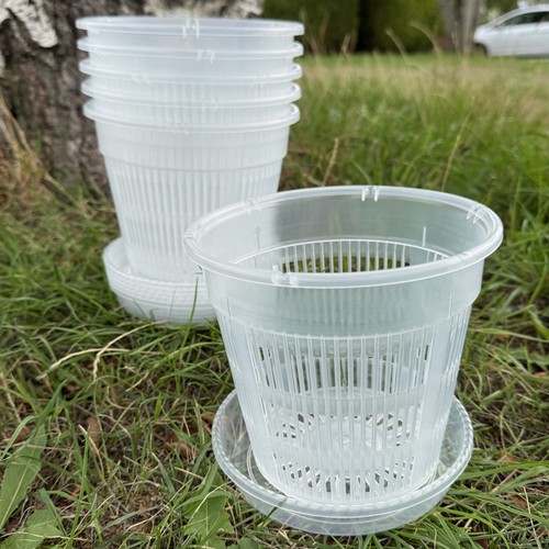 Large orchid flower pots with - large,