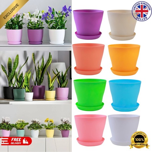 Plant pots flower matt - plant,
