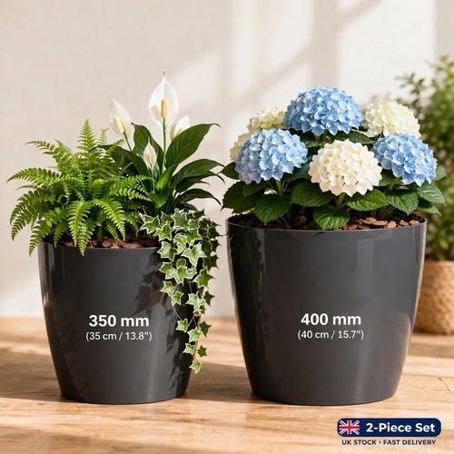 Garden plant pots round - plant,