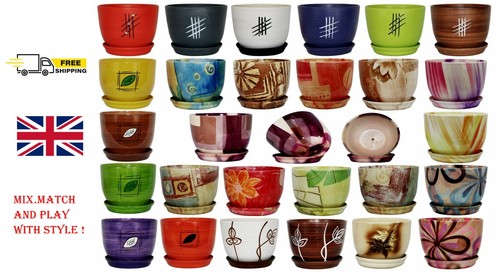 Ceramic plant pots with - plant,
