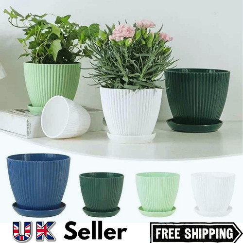 Plant pots flower - flower, planter