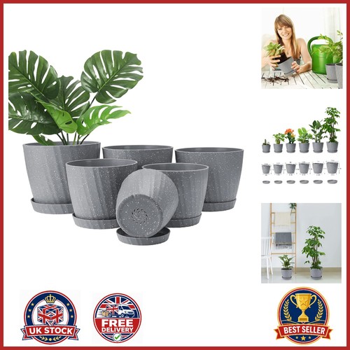 Self watering plant pots - plant, set