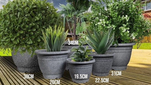 Large plastic round plant - 2,