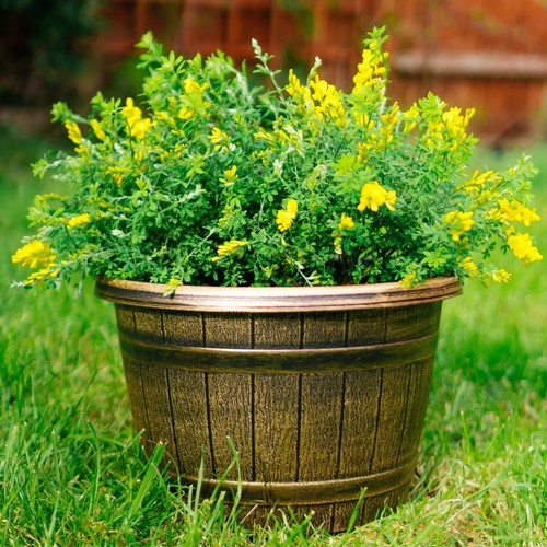 Large plastic barrel planters - large,