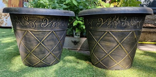 Pair xxl large 46cm - ,