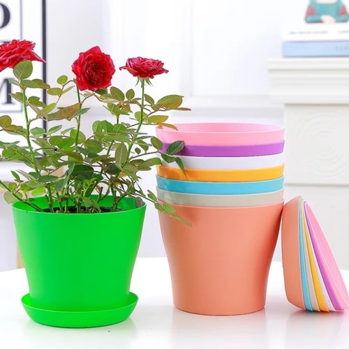 Plant pots flower - plant, 6