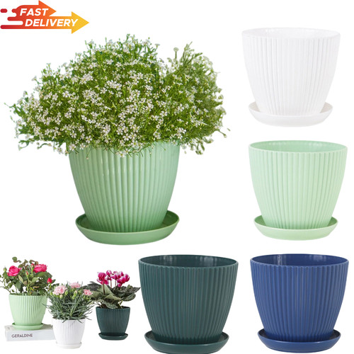 Plant pots indoor - pots, outdoor