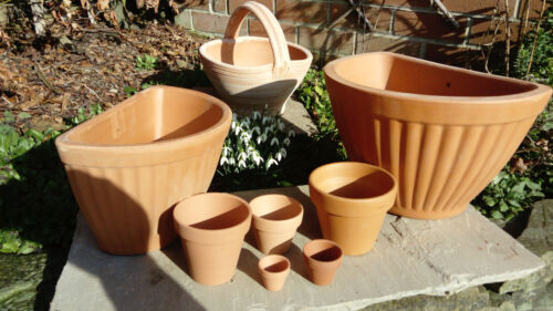 Terracotta flower plant clay - terracotta,