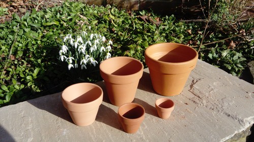 Terracotta clay plant - terracotta,