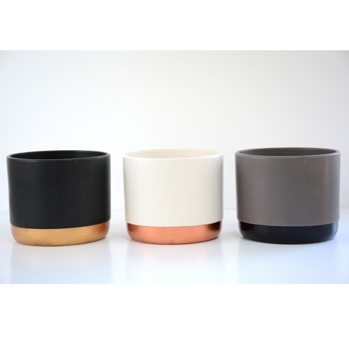 Ceramic indoor house plants - ceramic,