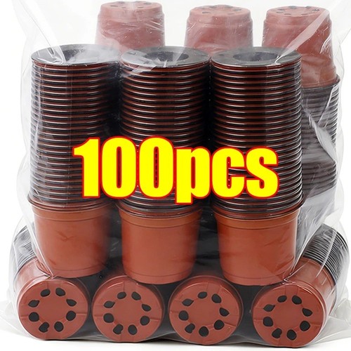 Plastic plant pots - plastic,